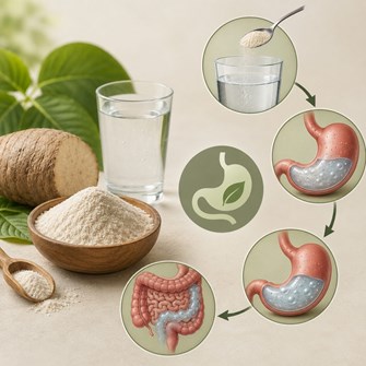 گلوکومانان چیست و چگونه عمل می‌ کند ؟